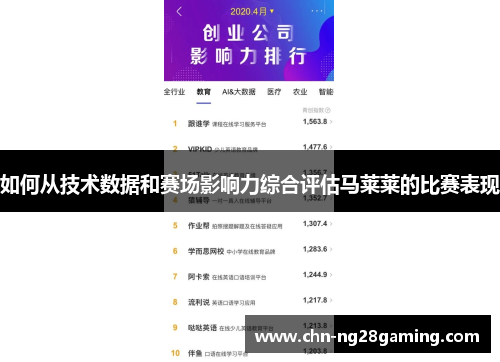 如何从技术数据和赛场影响力综合评估马莱莱的比赛表现