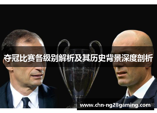 夺冠比赛各级别解析及其历史背景深度剖析