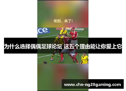 为什么选择偶偶足球论坛 这五个理由能让你爱上它