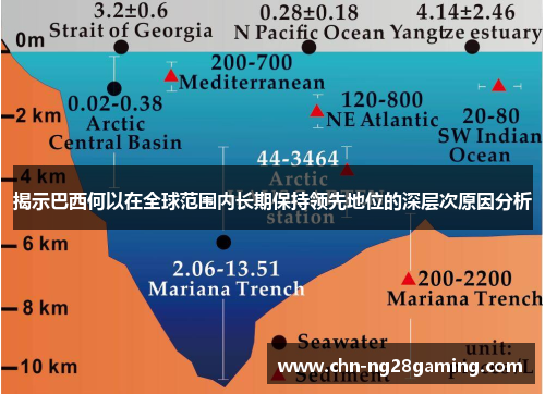 揭示巴西何以在全球范围内长期保持领先地位的深层次原因分析