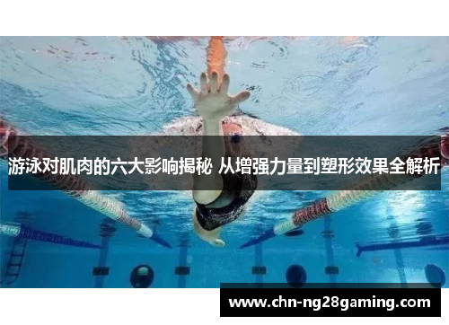 游泳对肌肉的六大影响揭秘 从增强力量到塑形效果全解析